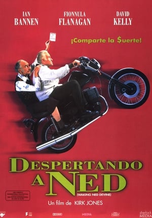 Poster Despertando a Ned 1998