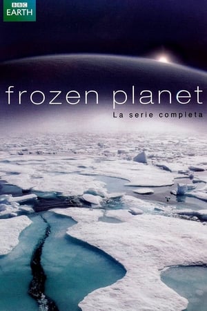 Poster Frozen Planet 2011