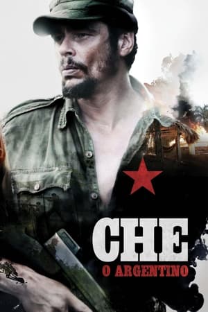 Poster Che - O Argentino 2008