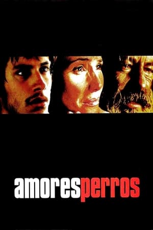 Poster Amores perros 2000