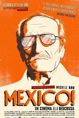 Poster Mexico! Un cinema alla riscossa 2017