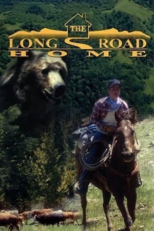 Poster The Long Road Home 1999