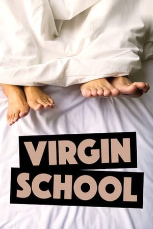 Poster Virgin School 2007