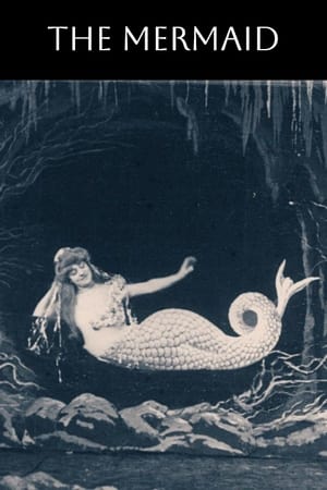 Image Die Meerjungfrau