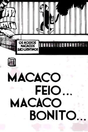 Image Macaco Feio… Macaco Bonito
