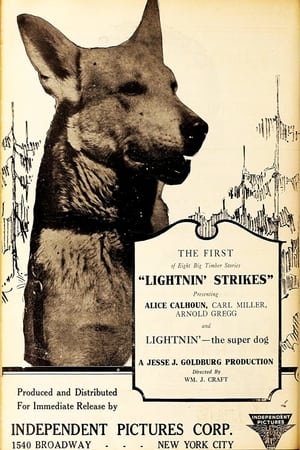 Poster Lightnin' Strikes 1925