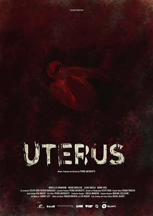 Image Uterus