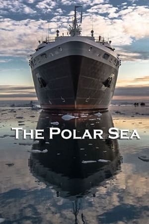 Poster The Polar Sea 2014