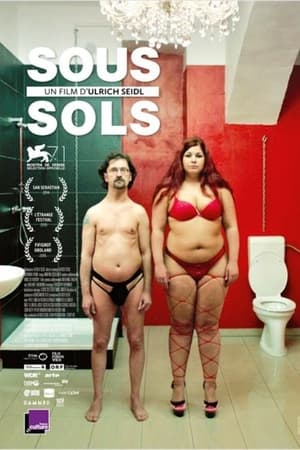 Poster Sous-Sols 2014
