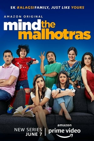 Poster Mind the Malhotras 2019