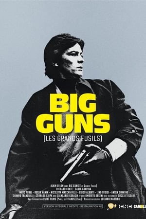 Image Big Guns - Les Grands fusils