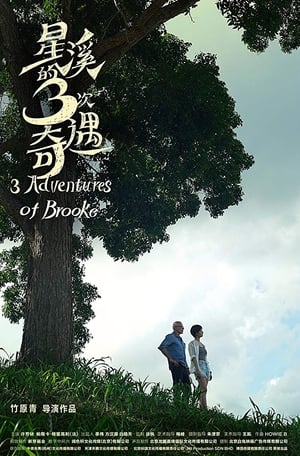 Poster Three Adventures of Brooke 2019