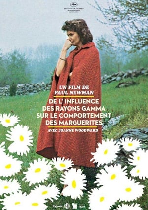 Poster De l'influence des rayons gamma sur le comportement des marguerites 1972