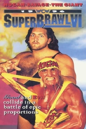 Image WCW SuperBrawl VI