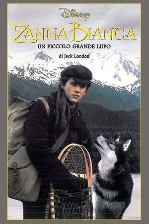 Poster Zanna Bianca - Un piccolo grande lupo 1991