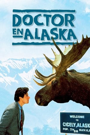 Poster Doctor en Alaska Temporada 2 El gran beso 1991