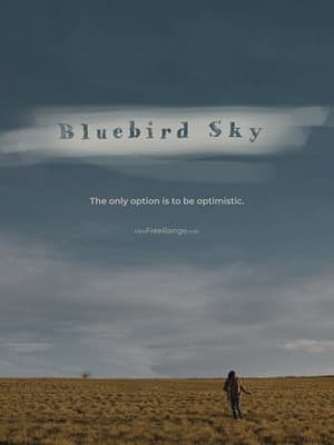 Image Bluebird Sky