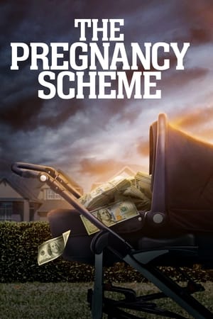 Image The Pregnancy Scheme
