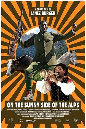 Poster Na sončni strani Alp 2008