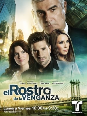 Poster El Rostro De La Venganza 2012