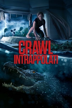 Image Crawl - Intrappolati