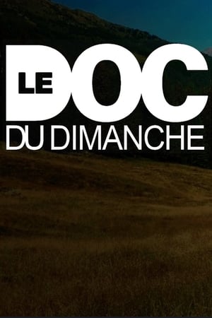 Poster Le Doc du dimanche 2008