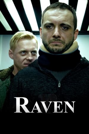 Poster Raven 2018