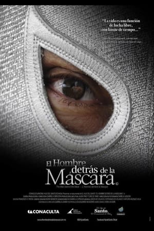 Poster El hombre detrás de la máscara 2013
