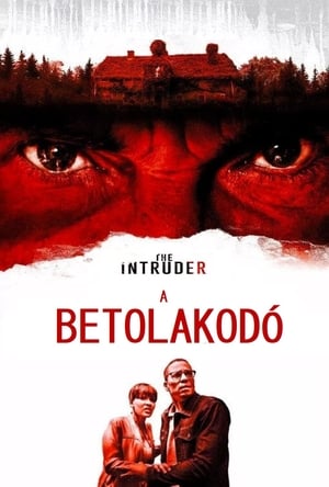 Image A betolakodó