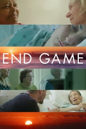 Poster End Game 2018