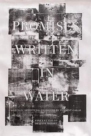 Poster Promises Written in Water 2010