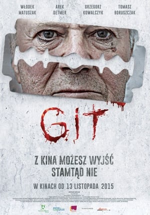 Poster Git 2015
