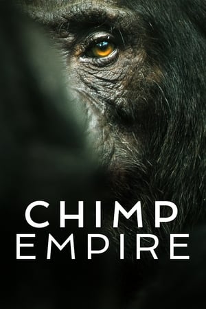 Image Імперія шимпанзе