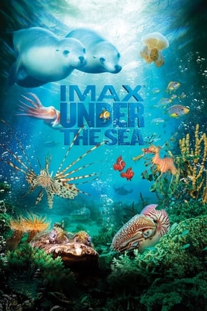 Image IMAX - Um Mar de Aventuras 3D