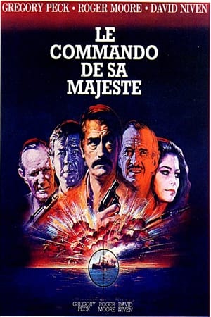 Poster Le Commando de Sa Majesté 1980