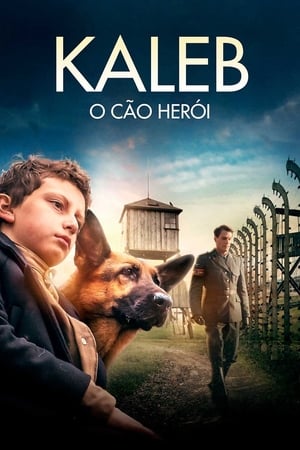 Poster Shepherd: The Story of a Jewish Dog 2020