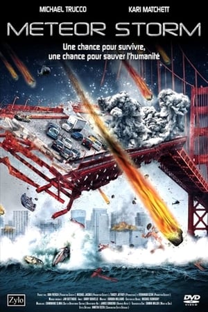 Poster Tempête de météorites 2010