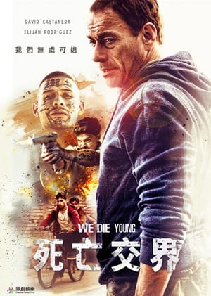 Poster 铁拳威龙 2019