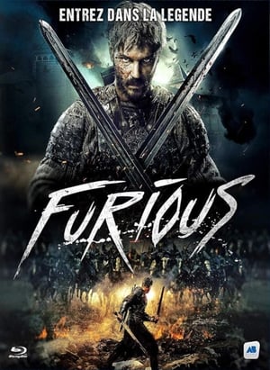 Poster Furious 2017
