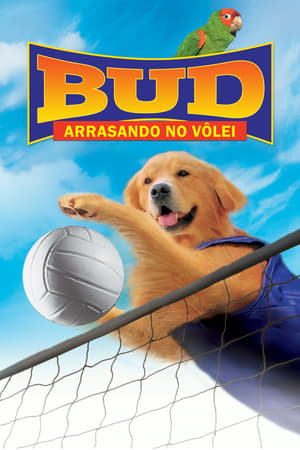 Poster Air Bud: Spikes Back 2003