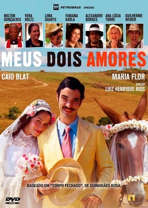 Poster Meus Dois Amores 2015