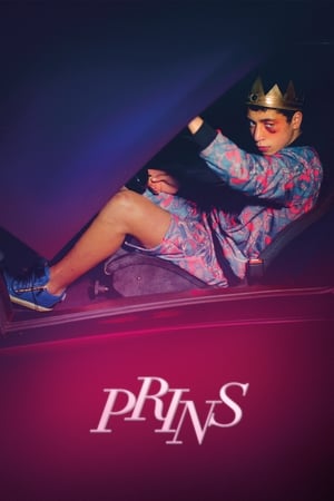 Poster Prins 2015