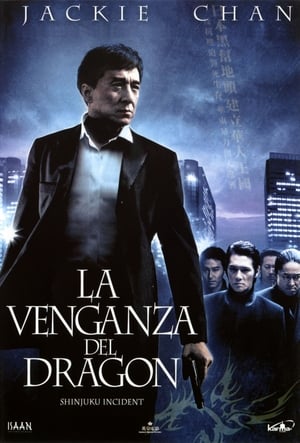 Poster La venganza del dragón 2009