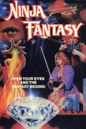 Poster Ninja Fantasy 1986