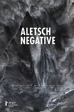 Image Aletsch Negative