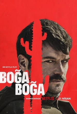 Poster Boğa Boğa 2023