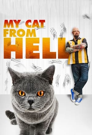 Poster My Cat from Hell 2011