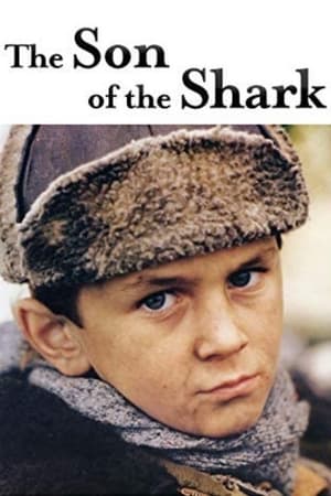 Poster The Son of the Shark 1993