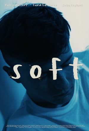 Poster Soft 2018