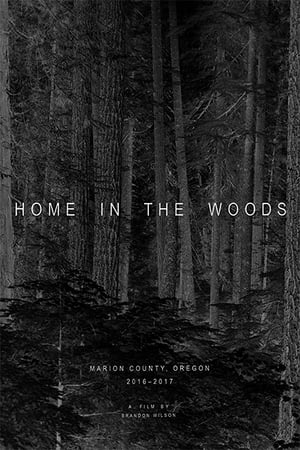 Poster Home in the Woods 2020